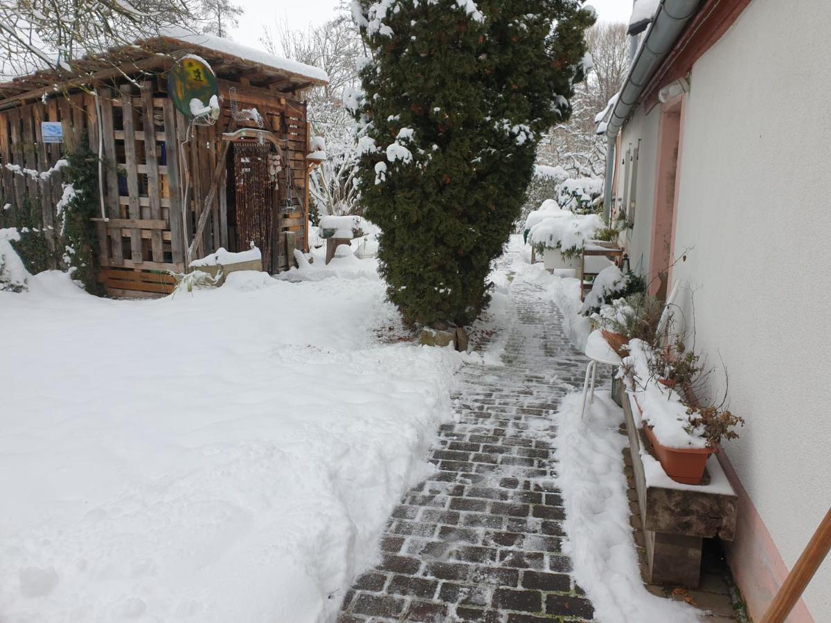Unser Obervolkacher Ferienhaus-Einfach Gemutlich! Bagian luar foto