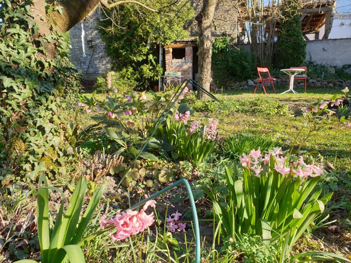 Unser Obervolkacher Ferienhaus-Einfach Gemutlich! Bagian luar foto