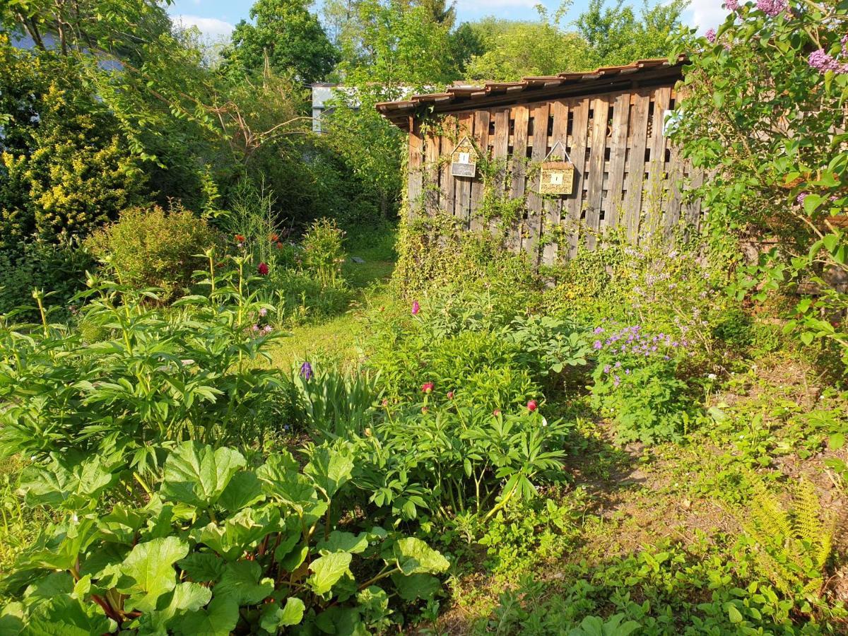 Unser Obervolkacher Ferienhaus-Einfach Gemutlich! Bagian luar foto