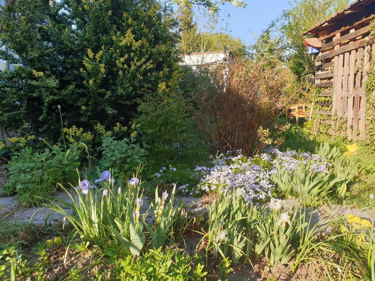 Unser Obervolkacher Ferienhaus-Einfach Gemutlich! Bagian luar foto